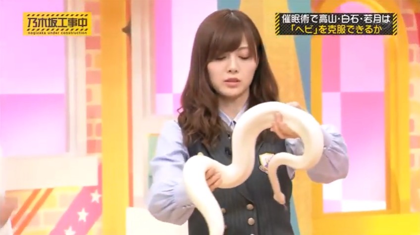 ヘビを触る白石麻衣3