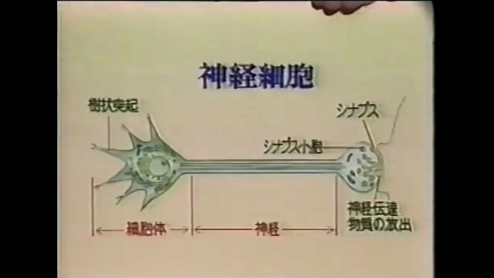 京都大学霊長類研究所で久保田競教授から記憶に関する話を聞く4