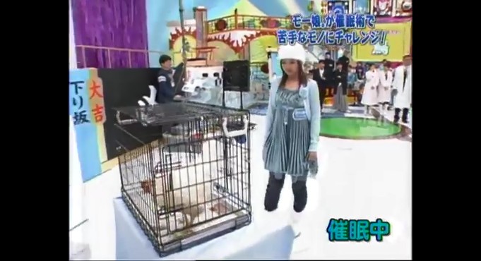 石川梨華が鶏を好きになる催眠術をかけられる9