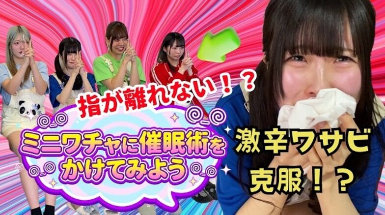 ミニワチャが催眠術体験を行う